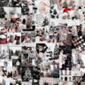 Meet your Posher, Brooklynn